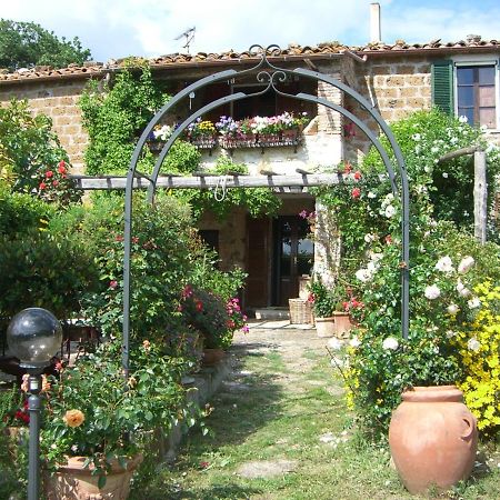 Le Querciolaie Monte Cavallo - Upper Apartment Saturnia Zewnętrze zdjęcie