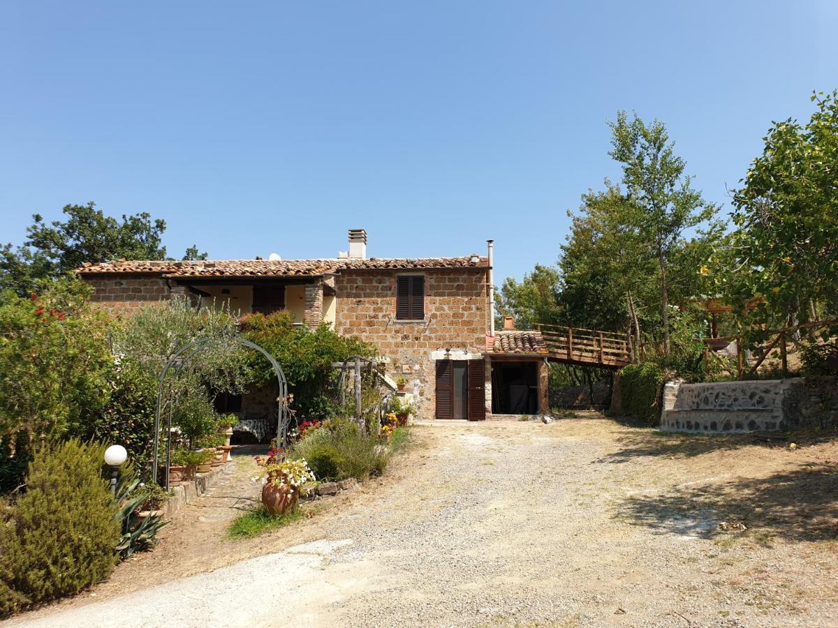 Le Querciolaie Monte Cavallo - Upper Apartment Saturnia Zewnętrze zdjęcie